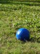 Blue Ball