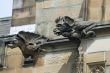 gargoyle