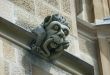 gargoyle