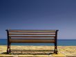 beautiful bench