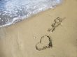 Love the sea