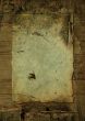 crusty wood parchment