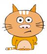 Disconented red cat