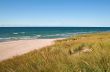 Lake Michigan Beach and Dune Grass