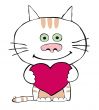 Valentine cat