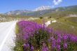 The road of Campo Imperatore