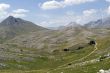 Campo Imperatore at summer