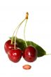 Wet cherry