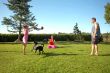 Playing family