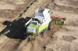 Machine harvesting the corn field