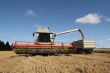 Machine harvesting the corn field