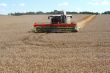 Machine harvesting the corn field