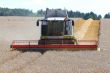 Machine harvesting the corn field