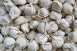 Frozen ravioli or pelmeni