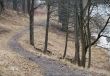 path
