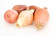 shallots