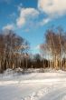 Winter landscape at sunset
