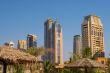 Palm trees, beach umbrellas and skyscrapers