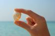 Hand and seashell on the beach