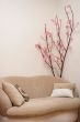 Soft sofa under a blossoming cherry