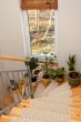 Flowers on stairs