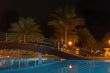 Swimming pool, night and palm trees