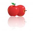 Apples