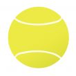 Tennis ball