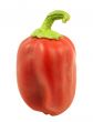 Red Pepper