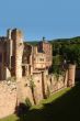 The Heidelberg Castle