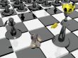 Pawn in Army.