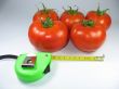 Fresh red tomatoes and an green measuring tape