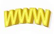 3D golden www simbol