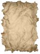 grunge mint yellow paper isolated over white background