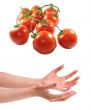 Two woman hands holding tomatos