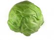 Green cabbage vegetable isolated