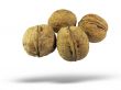 walnuts isolated over white
