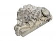 sleeping lion statue isolated over white background