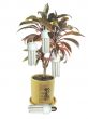 Ecological concept lamp bulbs growing on a tree