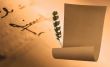 Paper And A Feather