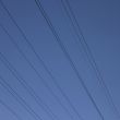 black electric wires in the blue sky