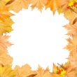 Frame of autumn yellow leaves with empty place for your image