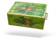 Antique green decorated wood box isolated over white background