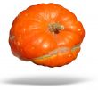 big orange pumpkin isolated over white background with shadow