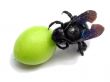 insect and green plums