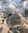 Stone face