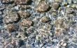 Stones under water