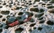 Sun glasses on honeycomb stone