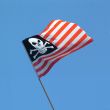 skull and crossbones USA flag