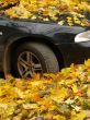 autumnal car